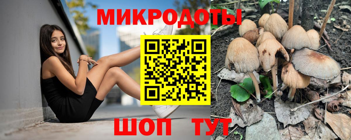 Галлюциногенные грибы прущие грибы  Вход с VPN  Гусиноозёрск  Псилоцибиновые грибы мицелий 
